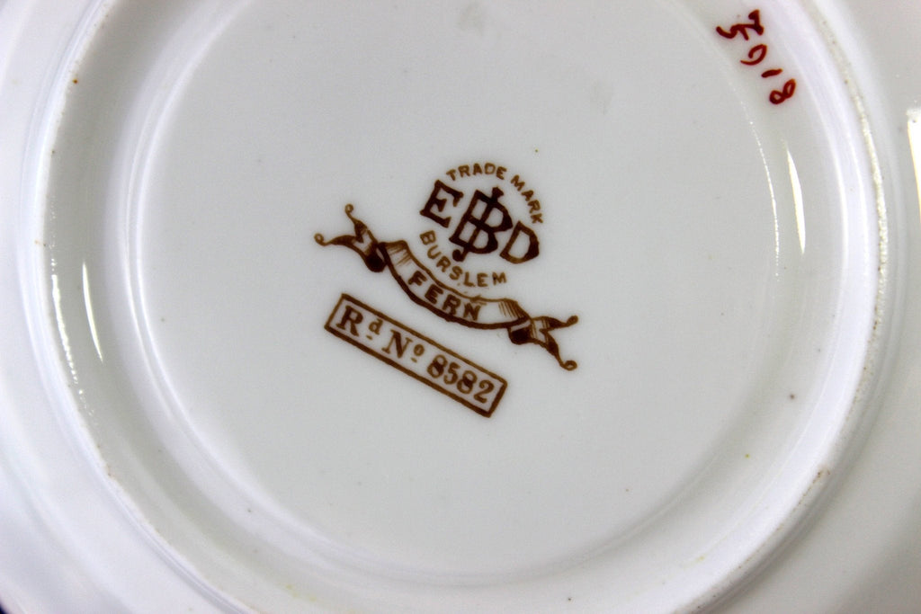 Antique EJDB Bodley Demi Teacup, FERN Demitasse Cup & Saucer 18456